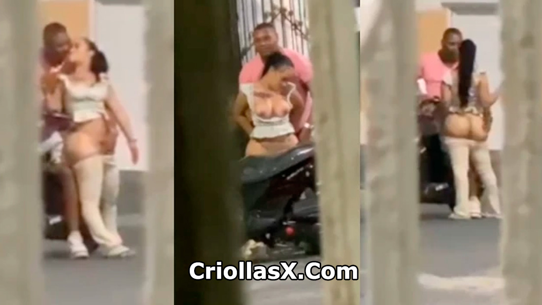 Videos Porno xxx Borracha tiene sexo en la calle y no se dan cuento que lo grabaron
